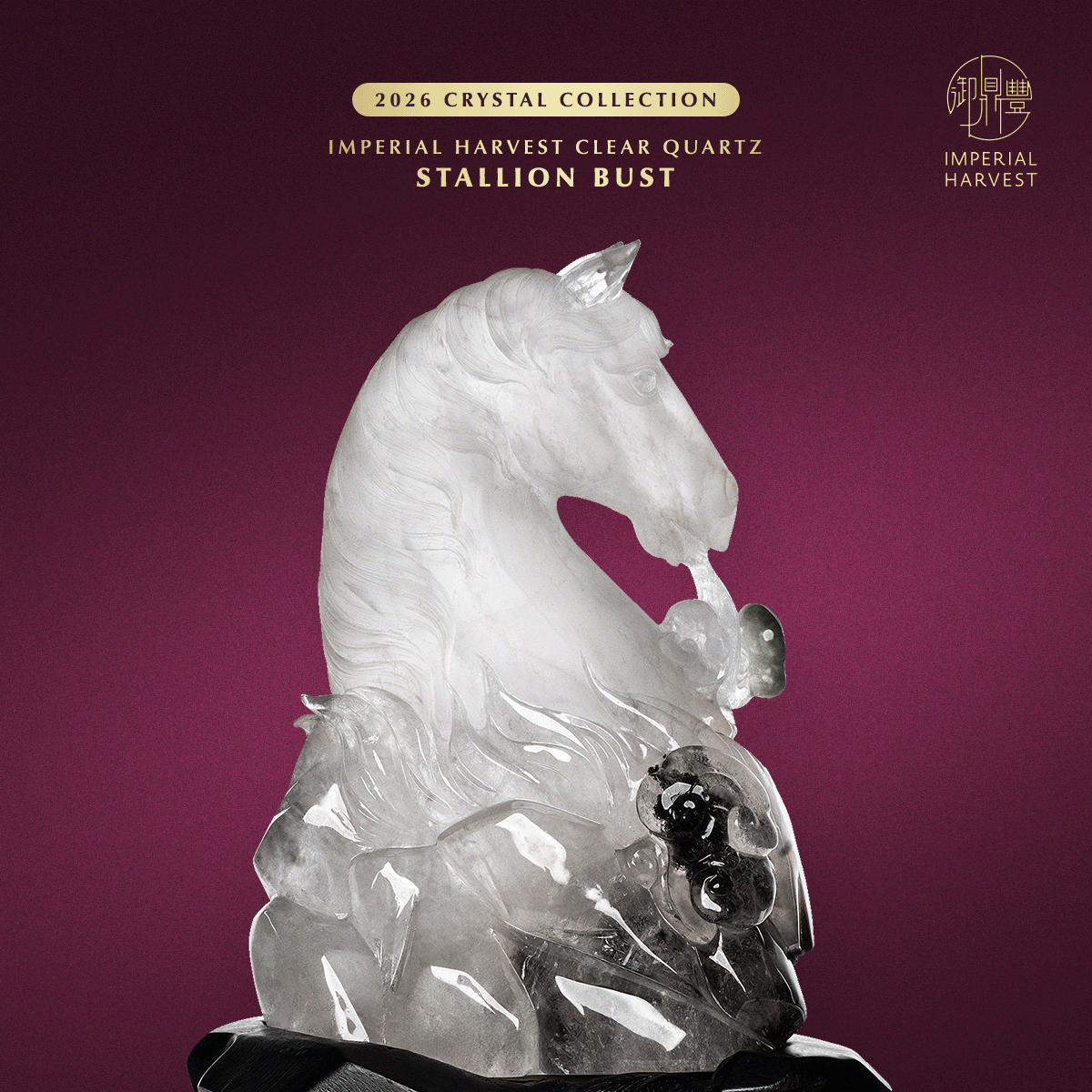 Blog 02.06 Imperial Harvest 2026 Crystal Collection Stallion Bust Close Up
