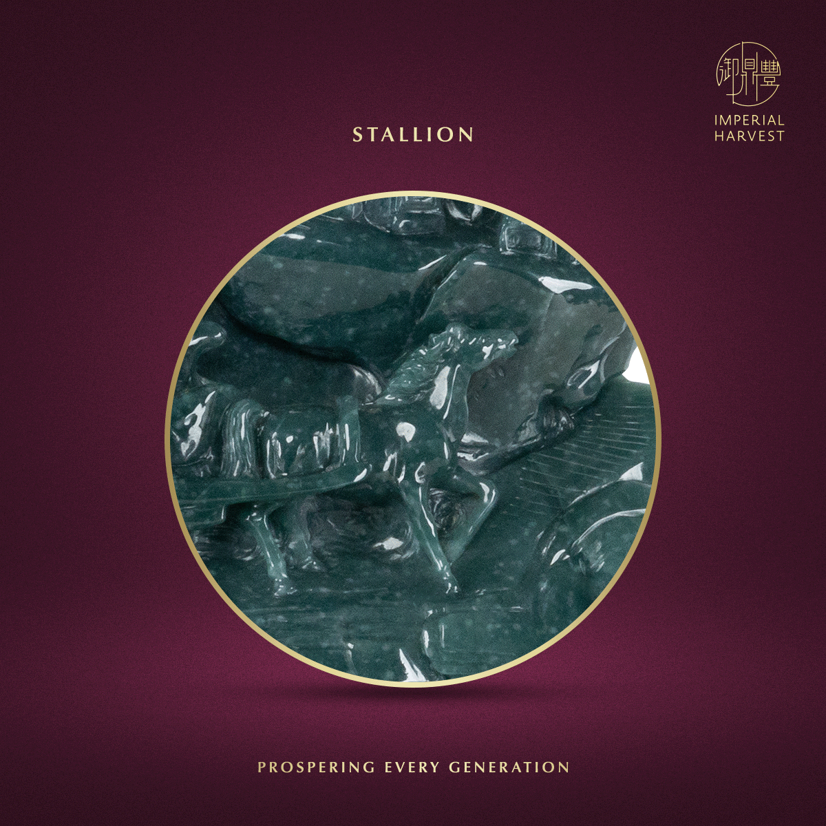Blog 03.02 Imperial Harvest 2026 QLJM Collection Stallion