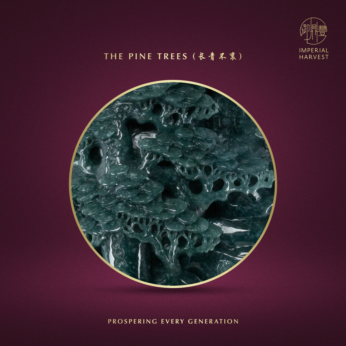 Blog 03.02 Imperial Harvest 2026 QLJM Collection The Pine Trees