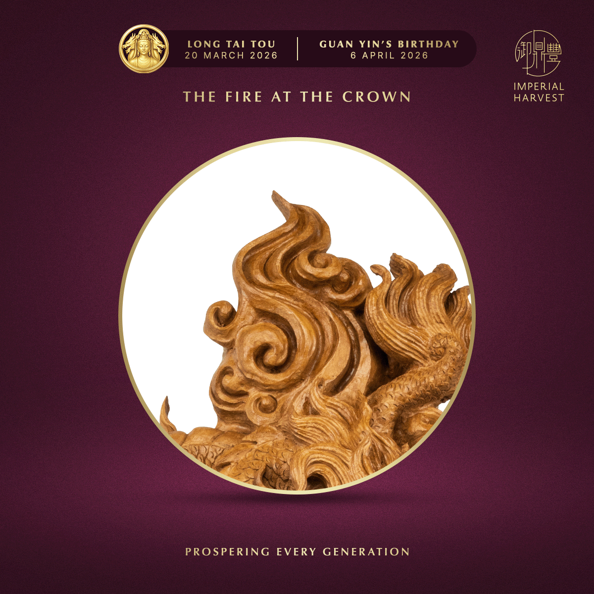 Blog 03.05 Imperial Harvest Red Earth Agarwood Double Dragon Guan Yin Flames at the Apex Zoomed in 2
