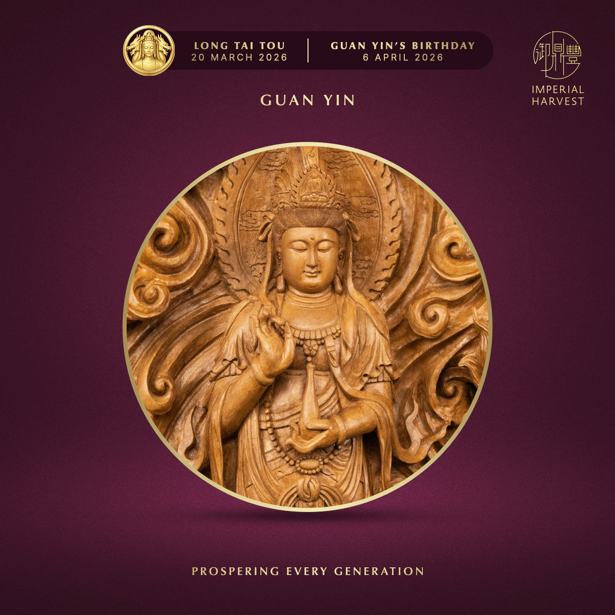 Blog 03.05 Imperial Harvest Red Earth Agarwood Double Dragon Guan Yin Guan Yin Zoomed in 2