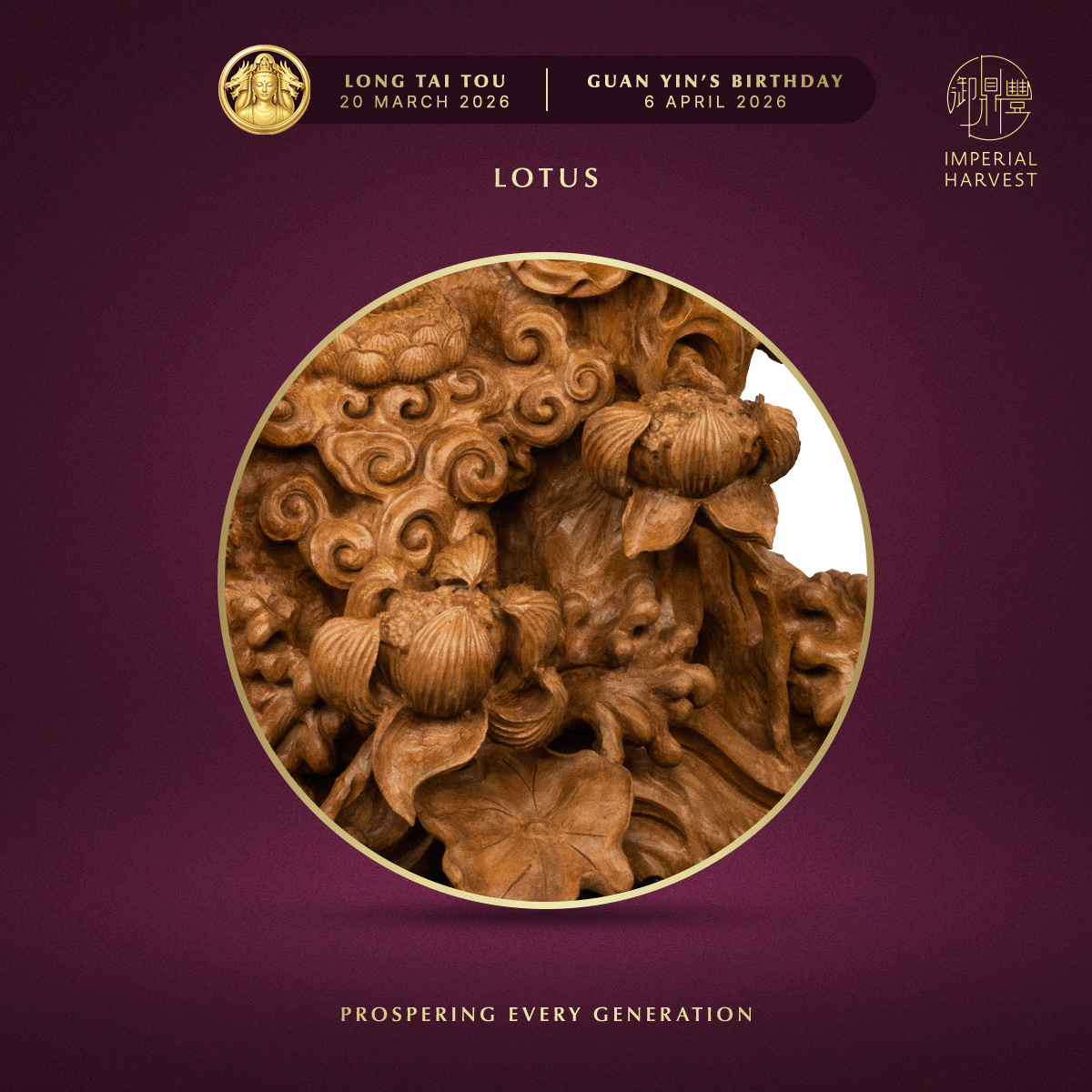Blog 03.05 Imperial Harvest Red Earth Agarwood Double Dragon Guan Yin Lotus Zoomed in 2