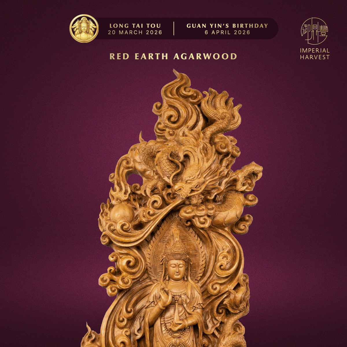 Blog 03.05 Imperial Harvest Red Earth Agarwood Double Dragon Guan Yin Red Earth Agarwood 2
