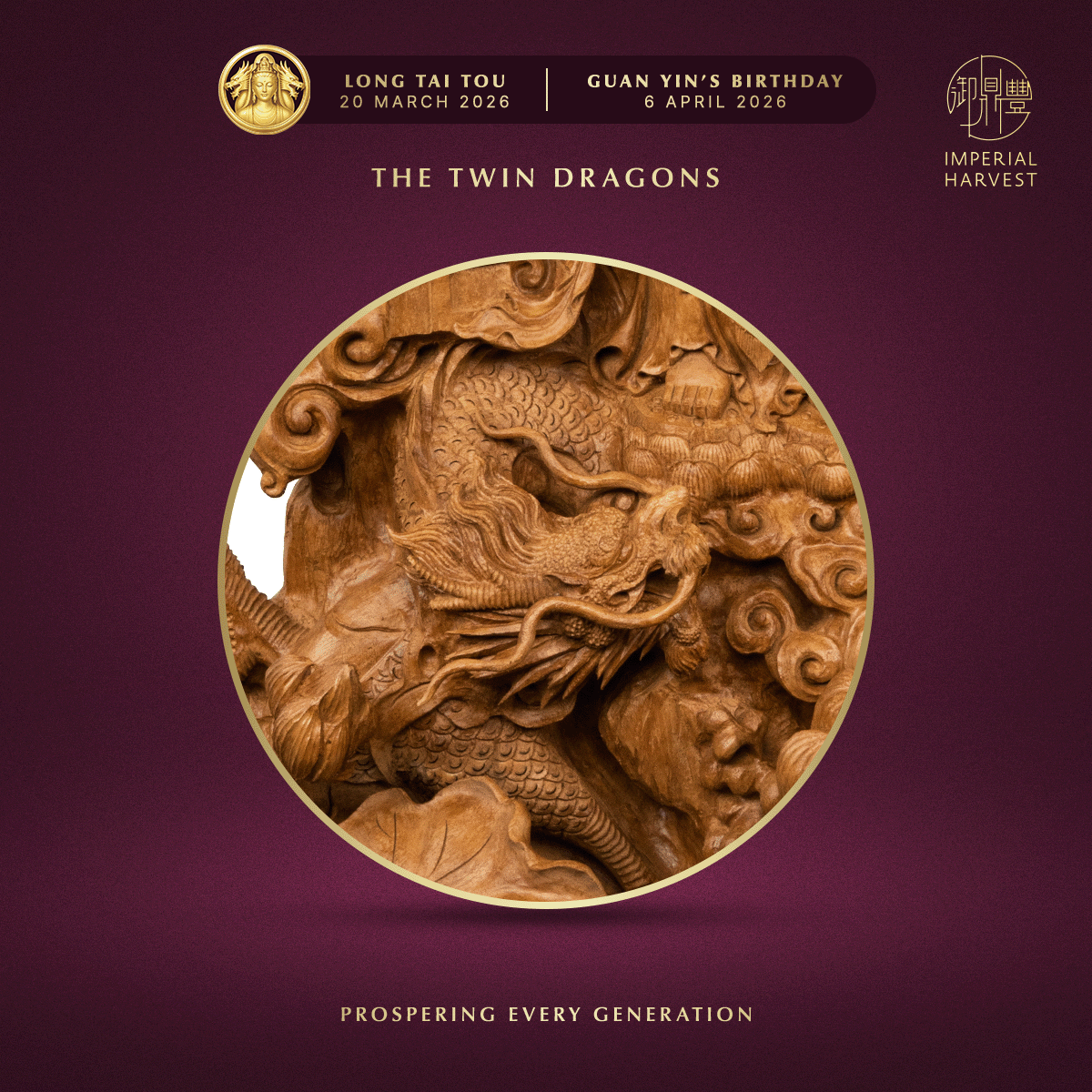 Blog 03.05 Imperial Harvest Red Earth Agarwood Double Dragon Guan Yin The Twin Dragons Zoomed in 1 2