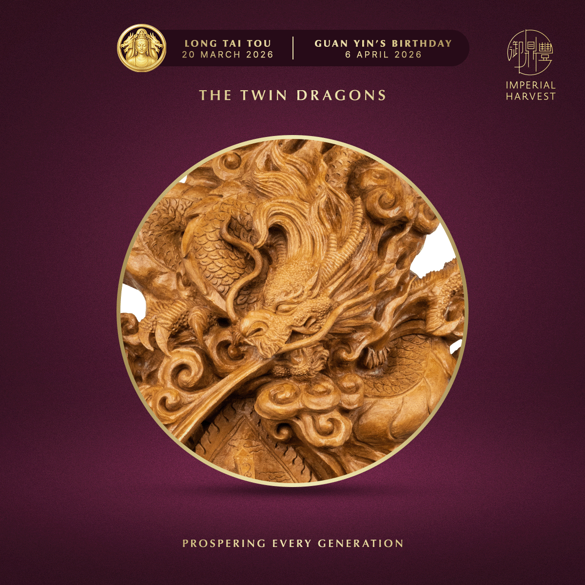 Blog 03.05 Imperial Harvest Red Earth Agarwood Double Dragon Guan Yin The Twin Dragons Zoomed in 2 2