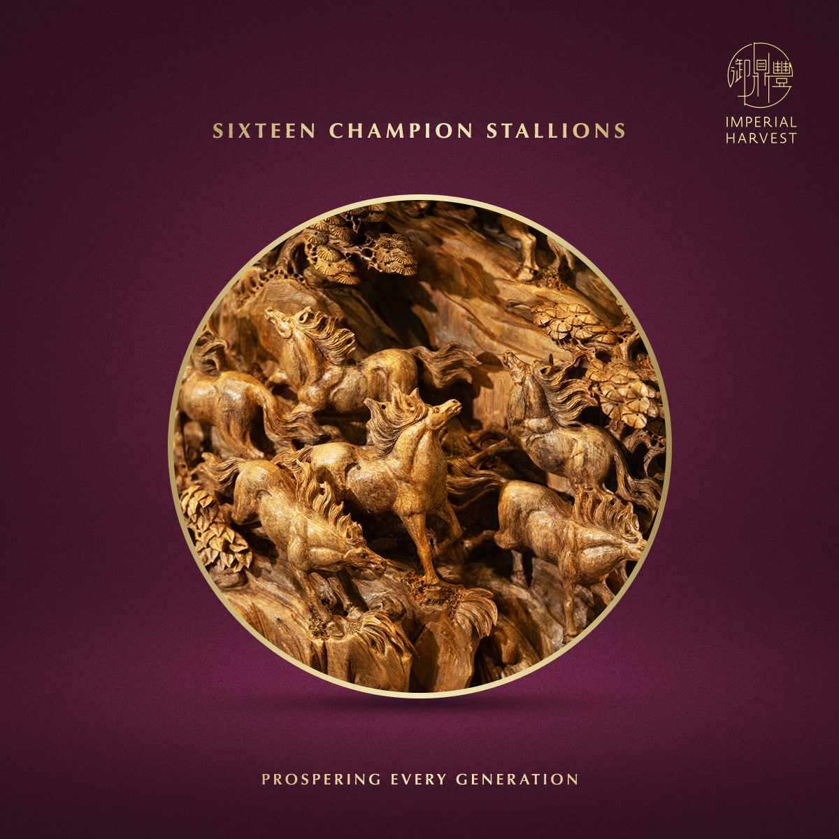 Blog 03.06 The Five Harvests Imperial Collections Born from the Triumphant Arrival Ceremonial Anchor Champion Stallions