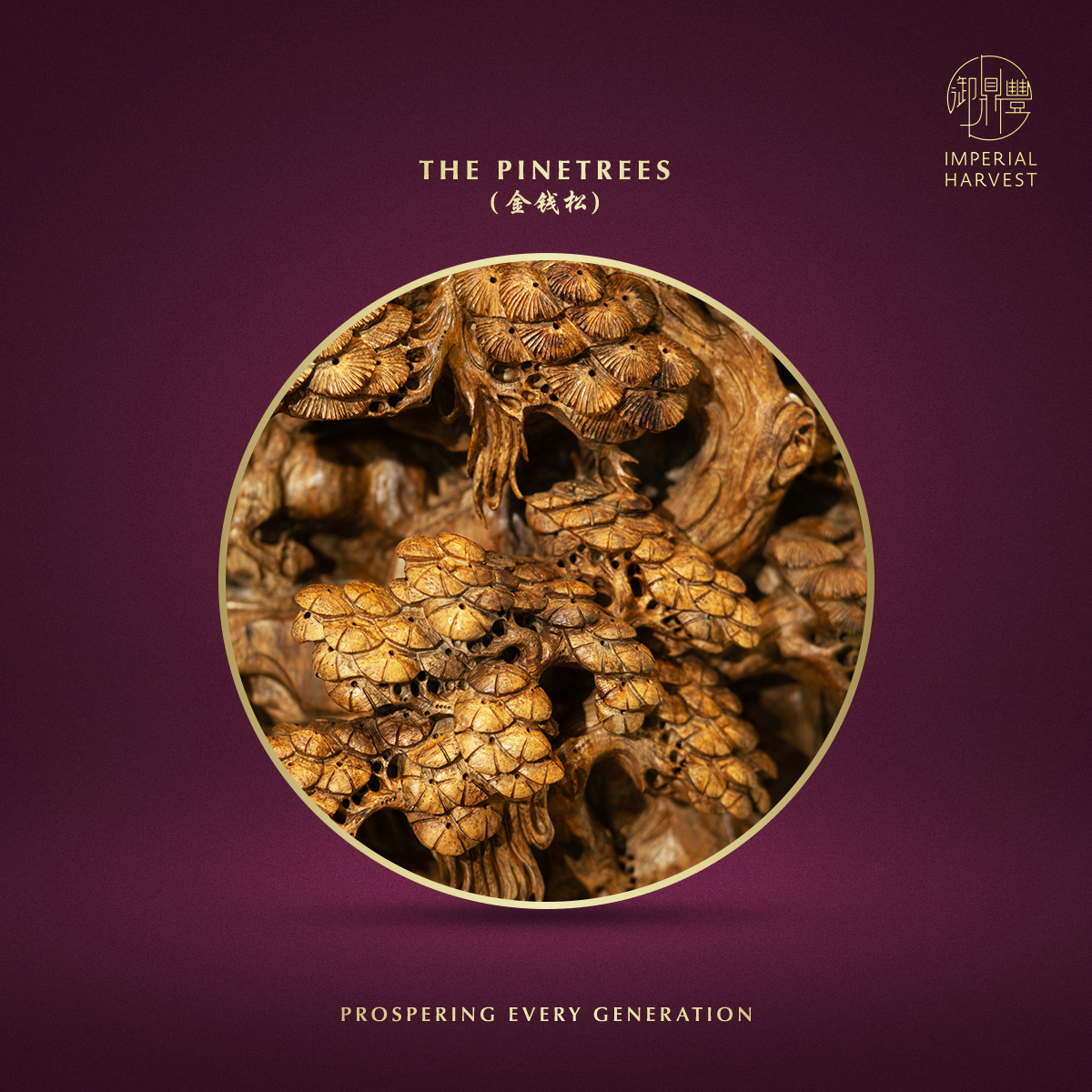 Blog 03.06 The Five Harvests Imperial Collections Born from the Triumphant Arrival Ceremonial Anchor Pinetrees