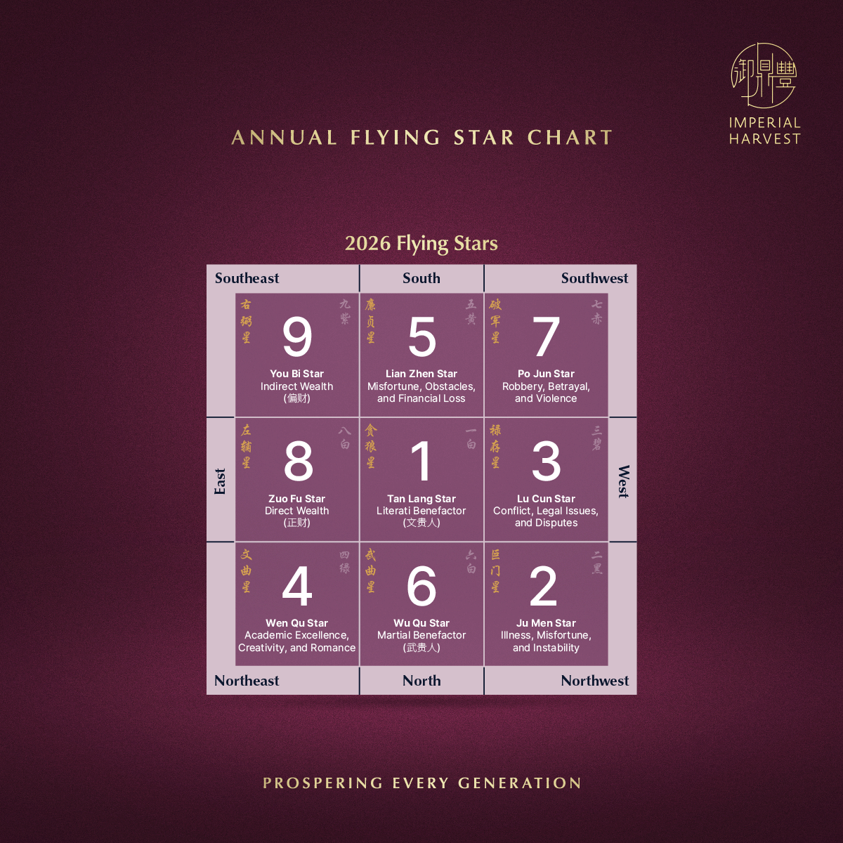 Blog 03.06 Understanding Imperial Home Feng Shui Annual Flying Star Chart
