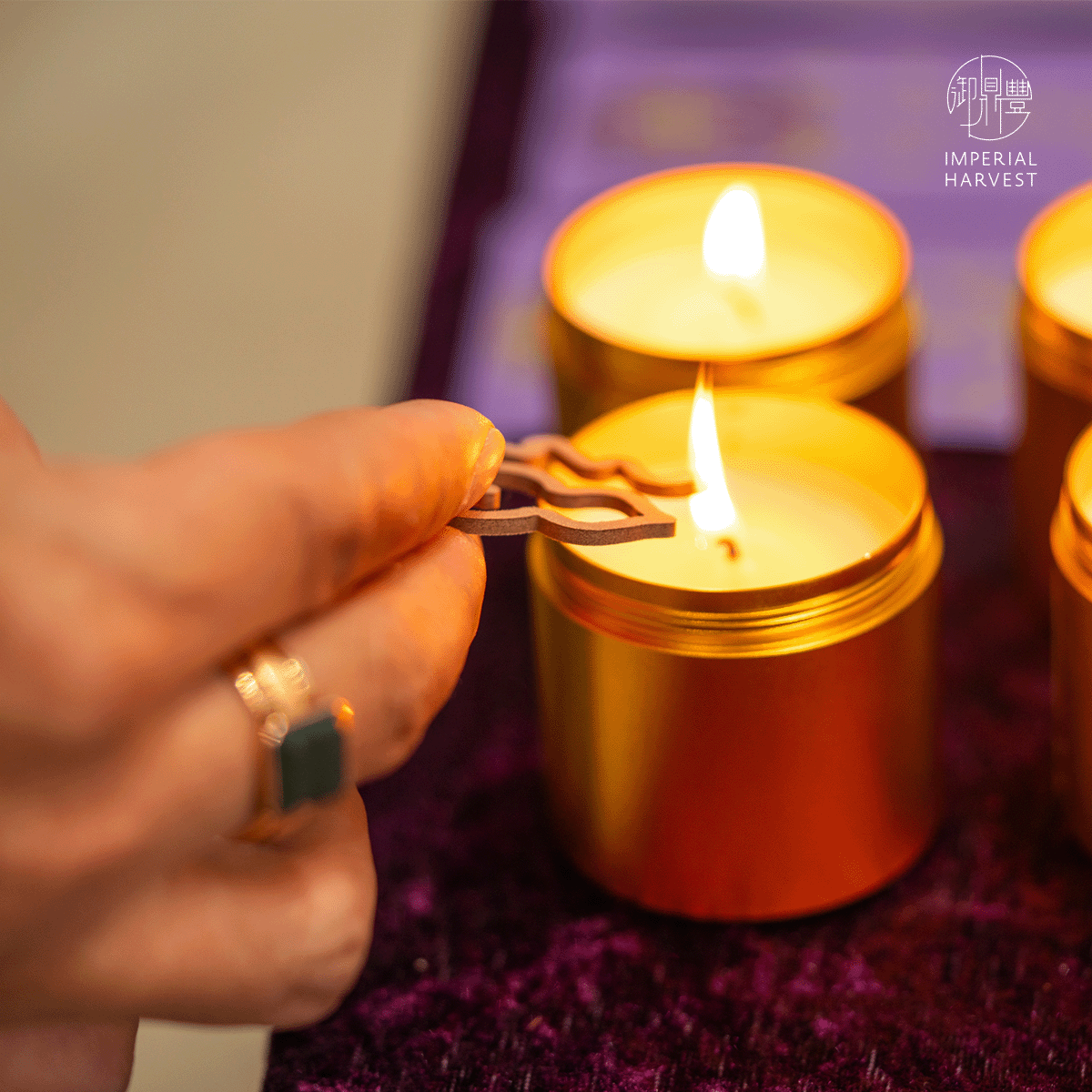 Blog 03.13 The Sacred Altar Reading the Ritual Setup Big Dipper Constellation Incense