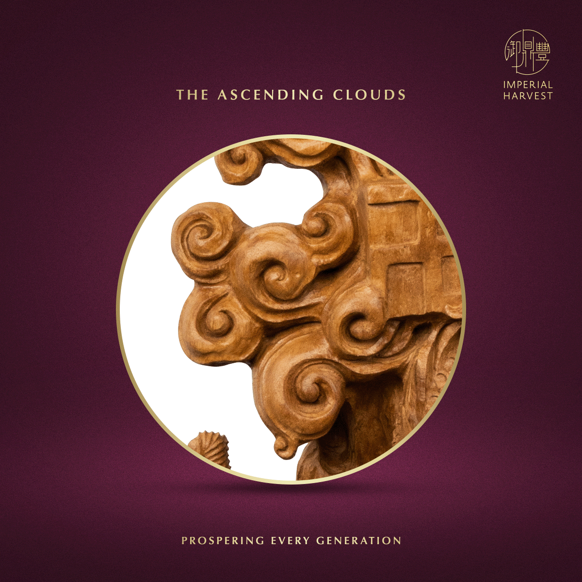 Blog 03.05 Imperial Harvest Red Earth Agarwood Double Dragon Guan Yin Clouds Zoomed in