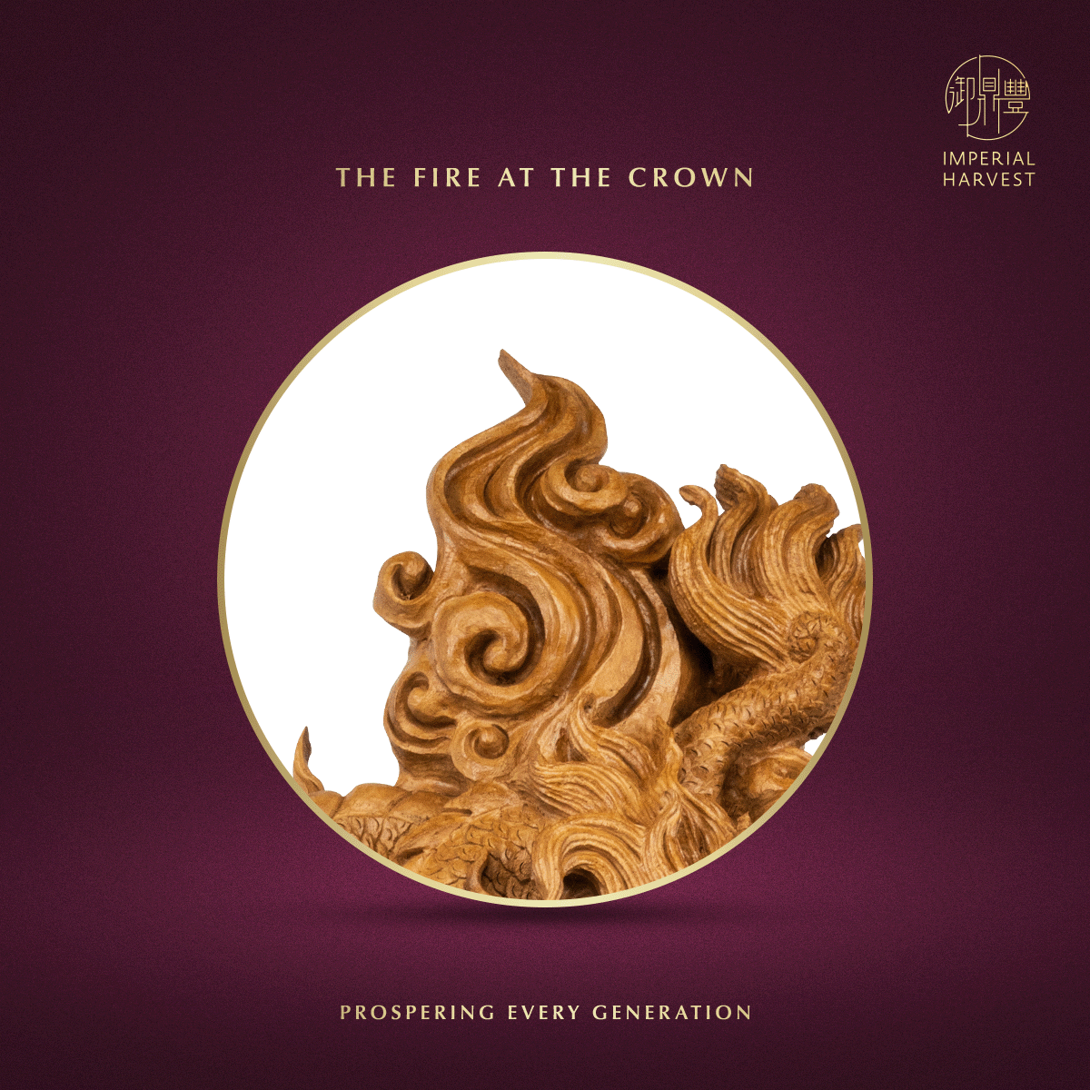 Blog 03.05 Imperial Harvest Red Earth Agarwood Double Dragon Guan Yin Flames at the Apex Zoomed in