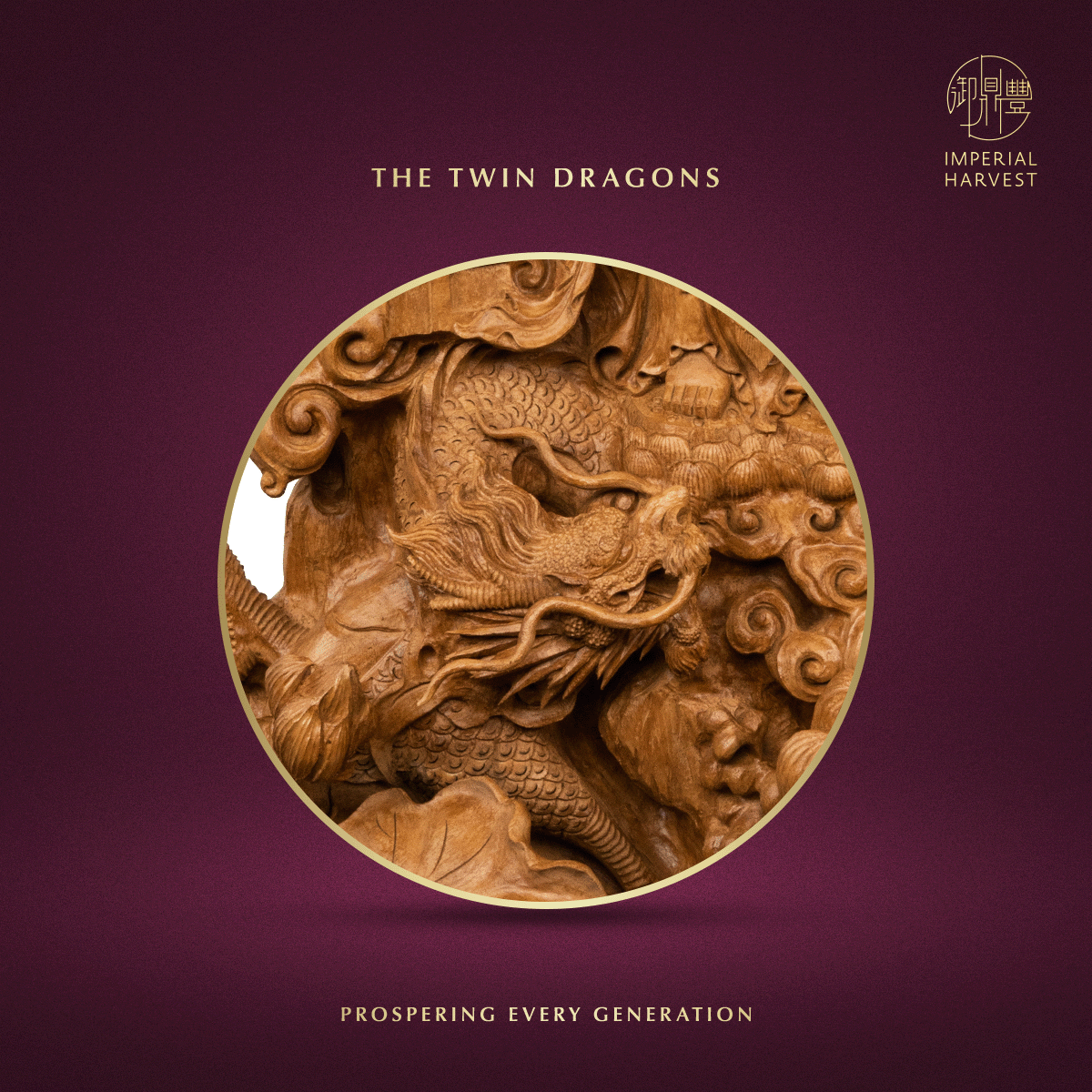 Blog 03.05 Imperial Harvest Red Earth Agarwood Double Dragon Guan Yin The Twin Dragons Zoomed in 1