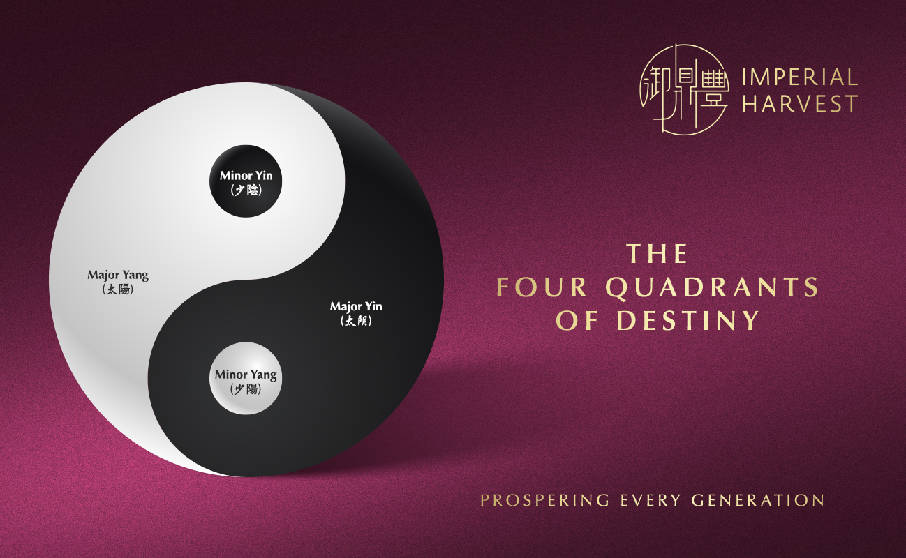 The Four Quadrants of Destiny