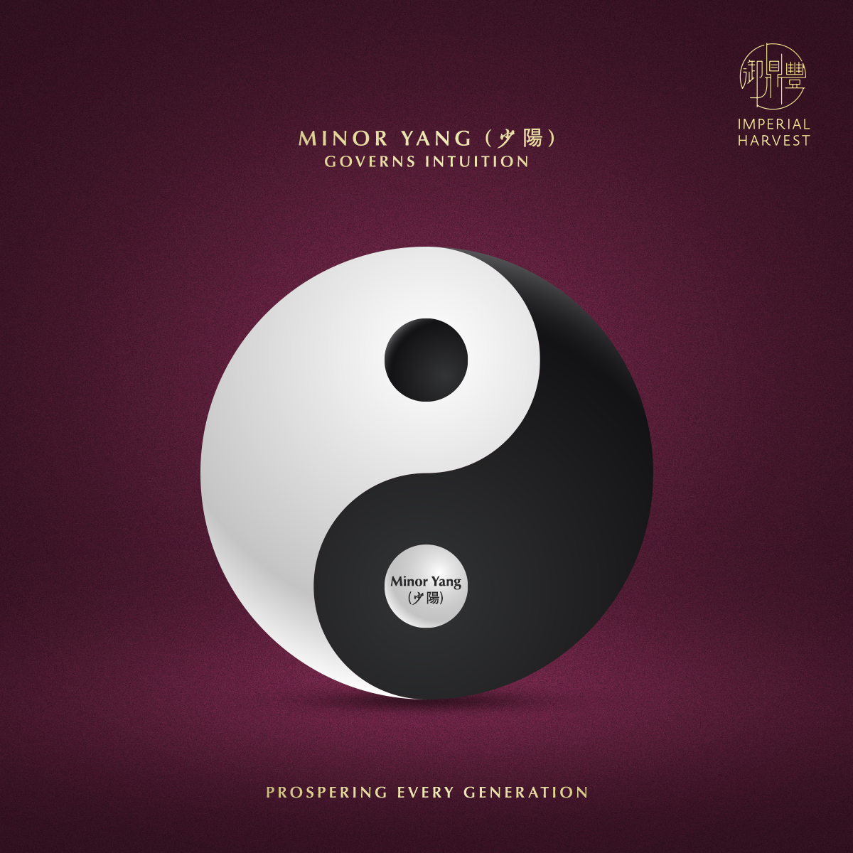 Blog 04.23 The Four Quadrants of Destiny Minor Yang