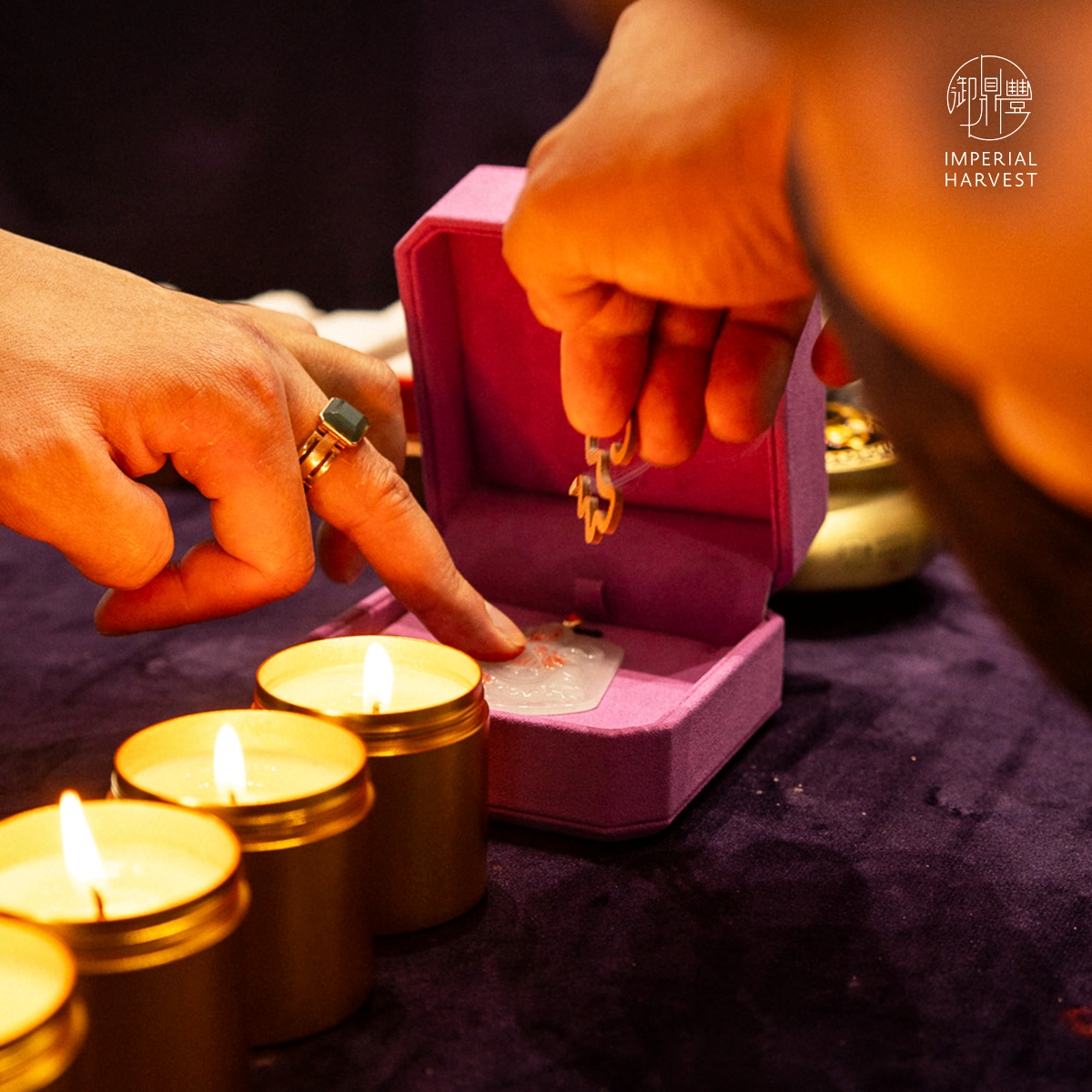 Blog 05.15 2026 Vesak Day Grand Blessing Ritual 6