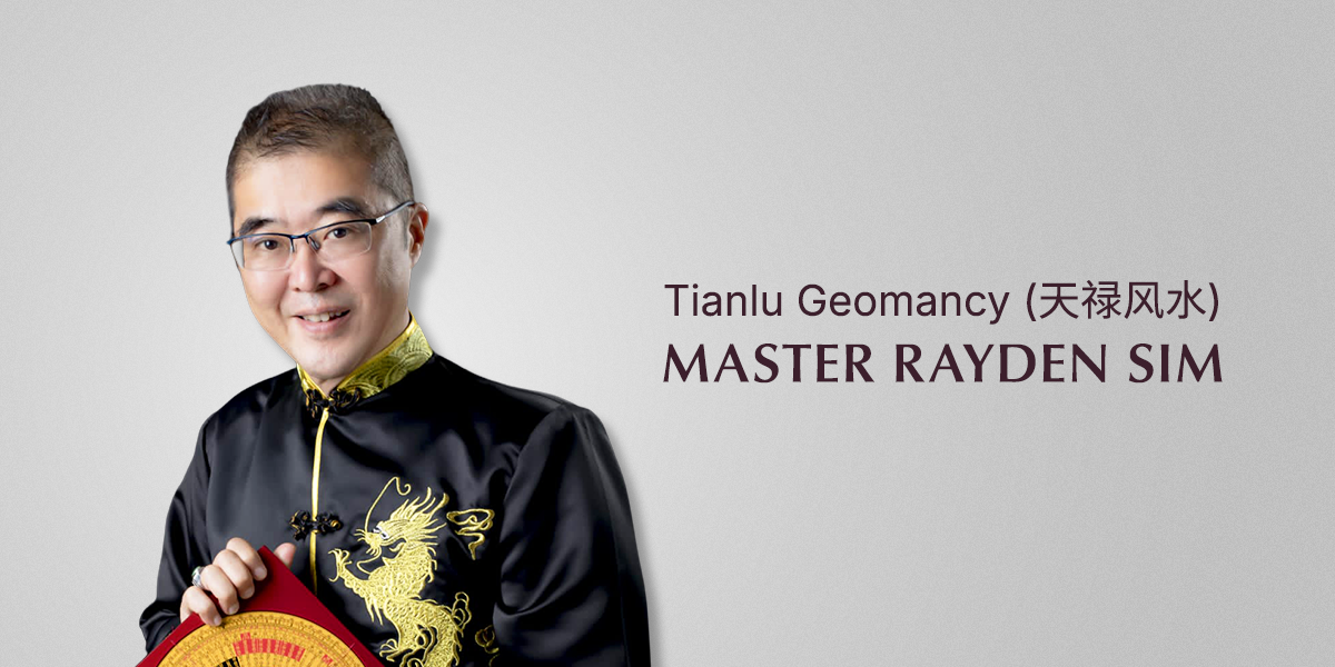 12 Master Rayden Sim