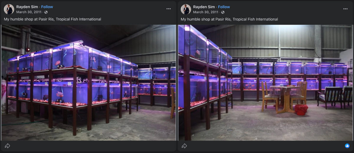 Master Rayden Sim Fish Shop