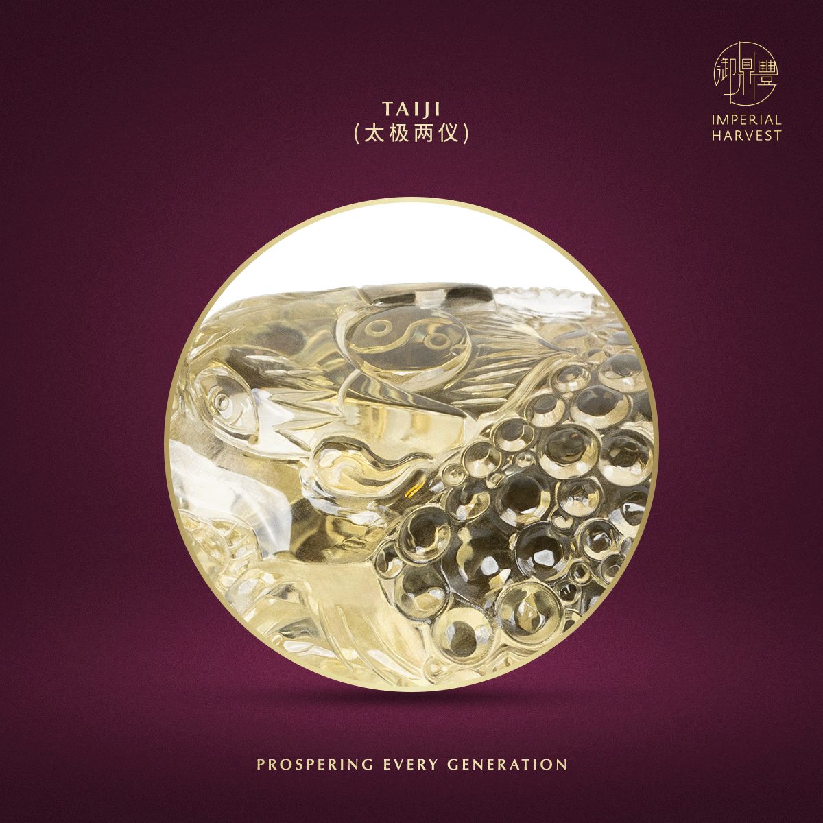 Blog 07.03 Imperial Harvest Legendary Golden Toad GT01 Taiji