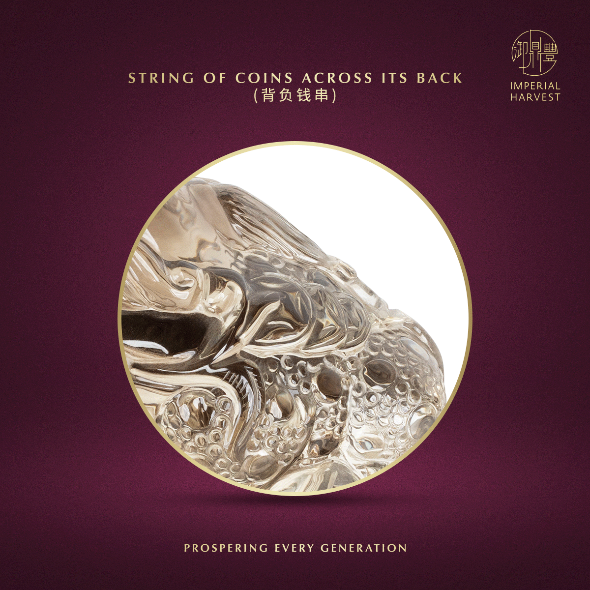 Blog 07.03 Imperial Harvest Legendary Golden Toad GT02 Coin Across its Back