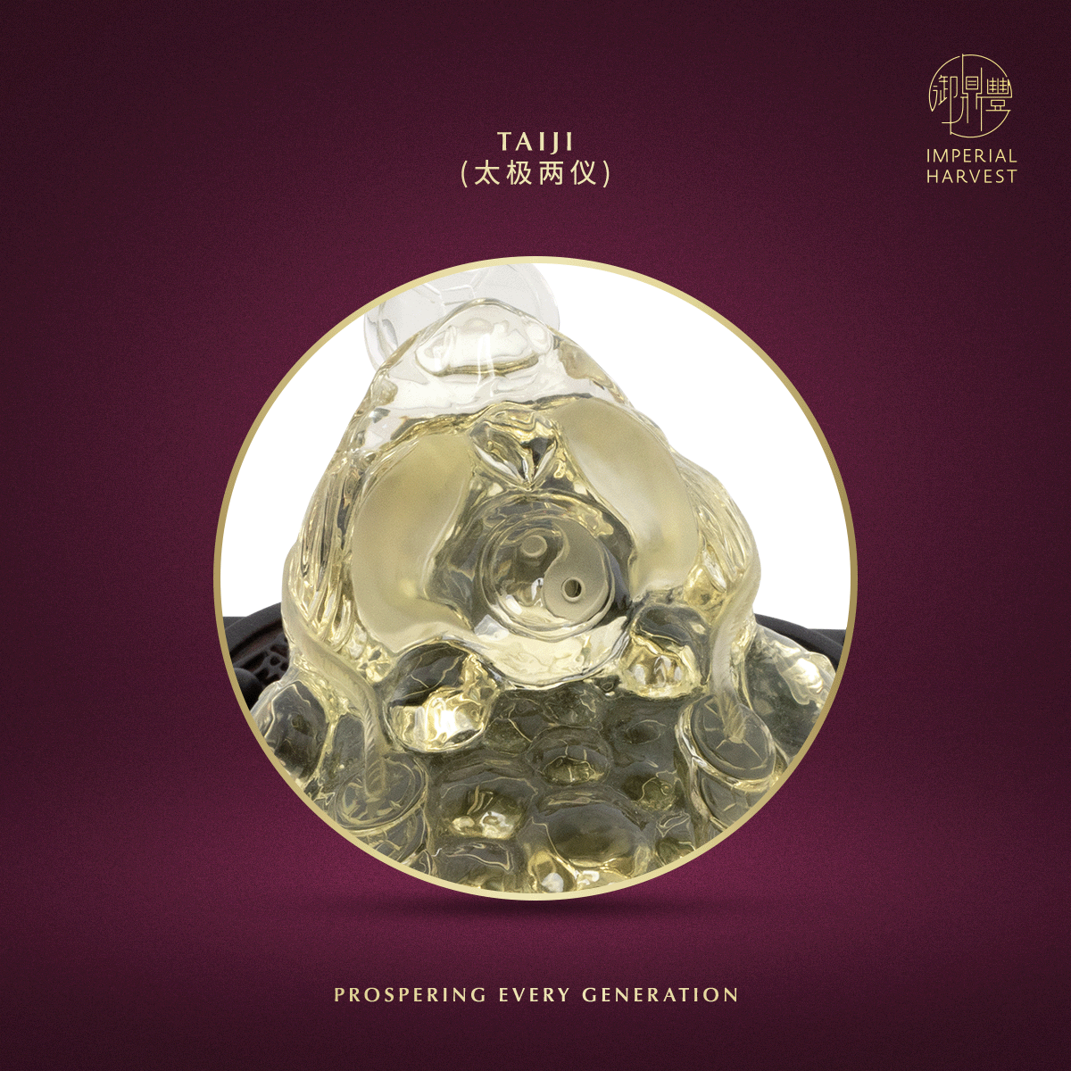 Blog 07.03 Imperial Harvest Legendary Golden Toad GT03 Taiji