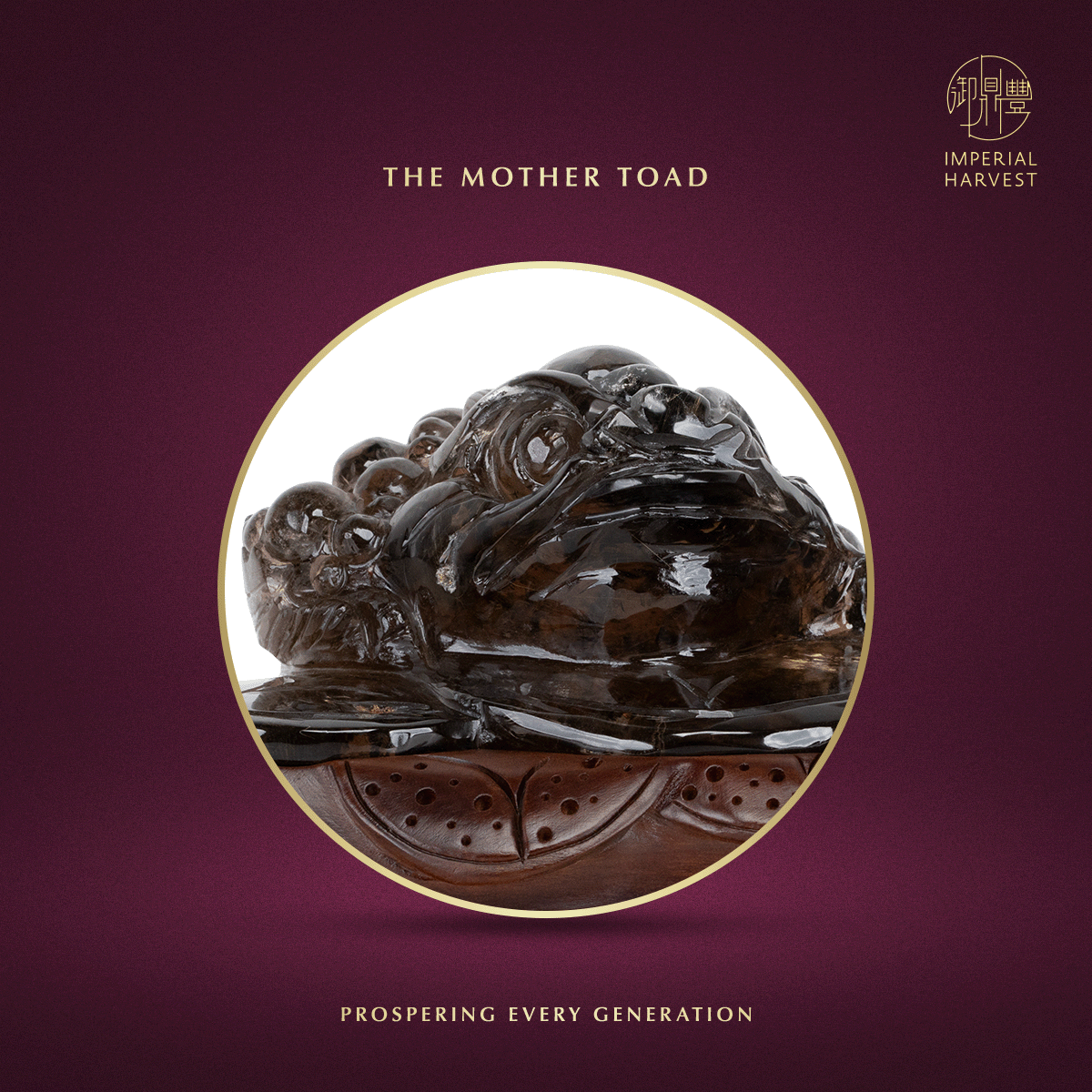 Blog 07.03 Imperial Harvest Legendary Golden Toad GT04 Mother Toad