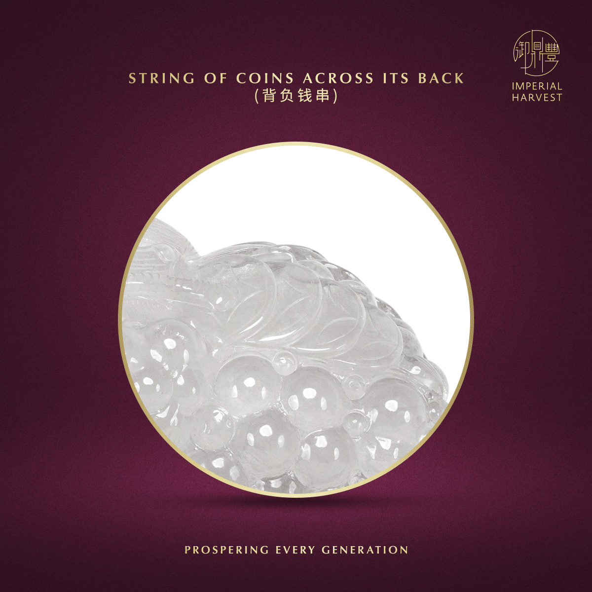 Blog 07.03 Imperial Harvest Legendary Golden Toad GT05 Coin Across its Back