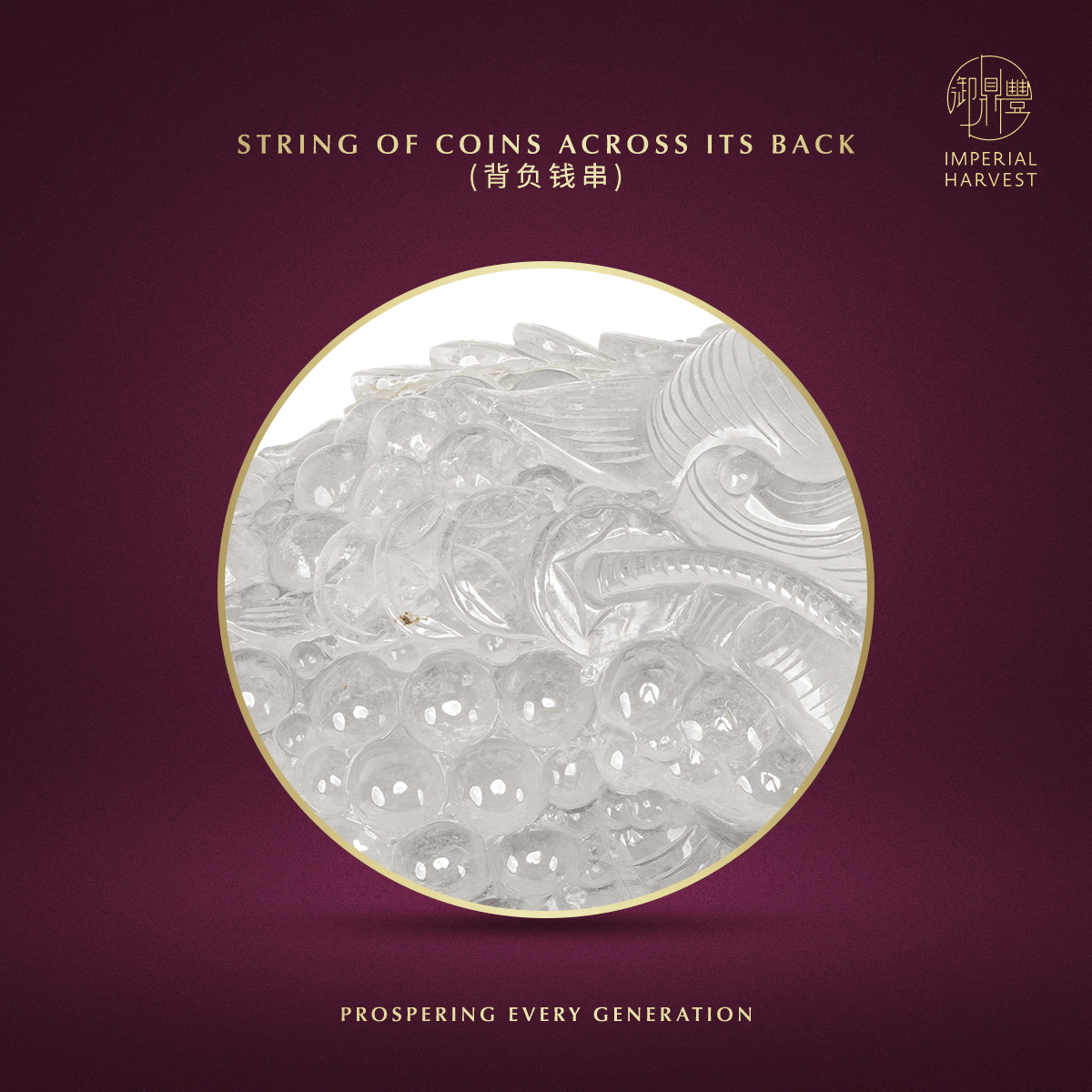 Blog 07.03 Imperial Harvest Legendary Golden Toad GT07 Coin Across its Back