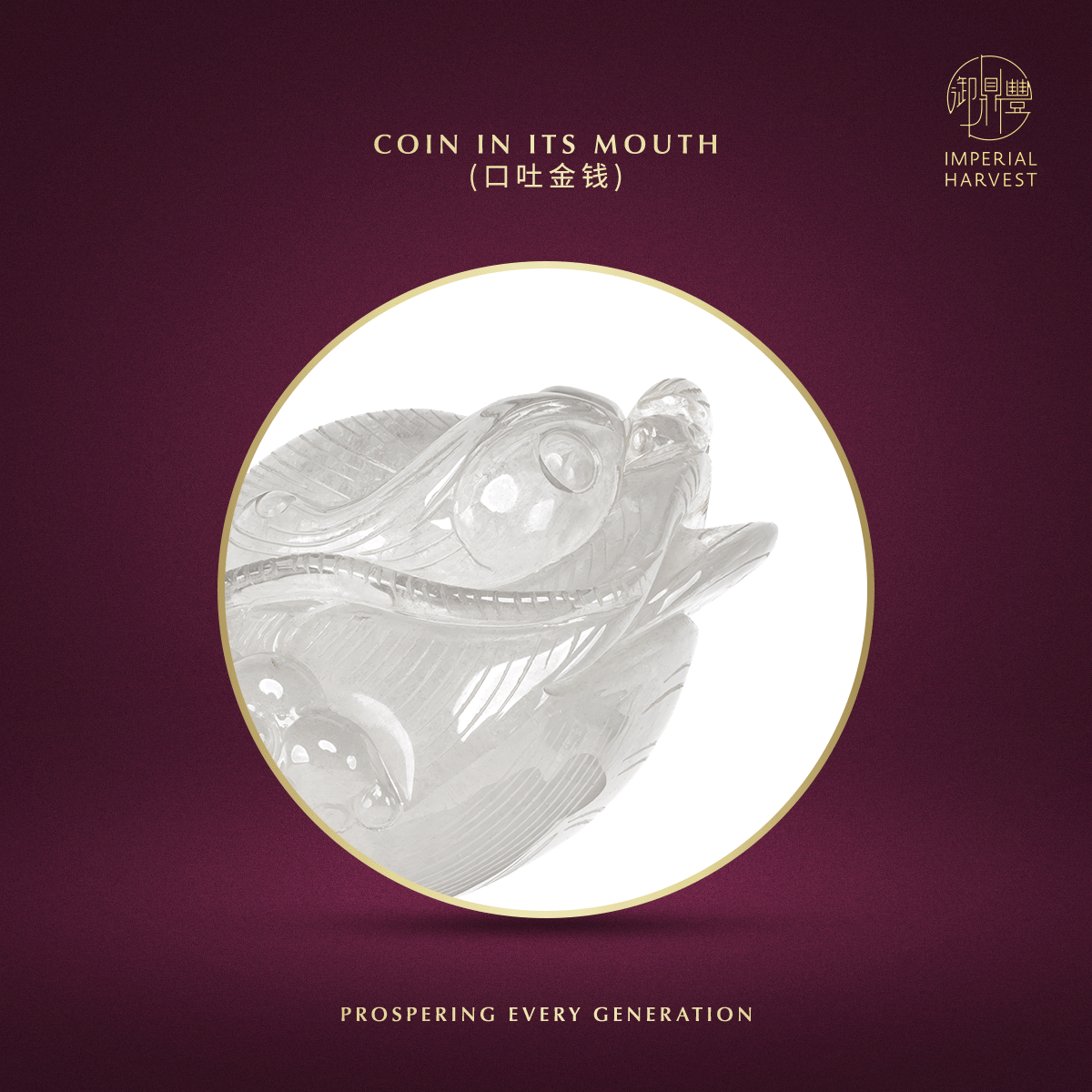 Blog 07.03 Imperial Harvest Legendary Golden Toad GT07 Coin in its Mouth