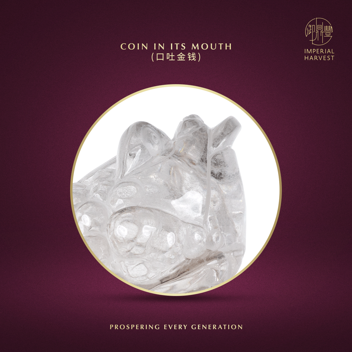 Blog 07.03 Imperial Harvest Legendary Golden Toad GT15 Coin in its Mouth