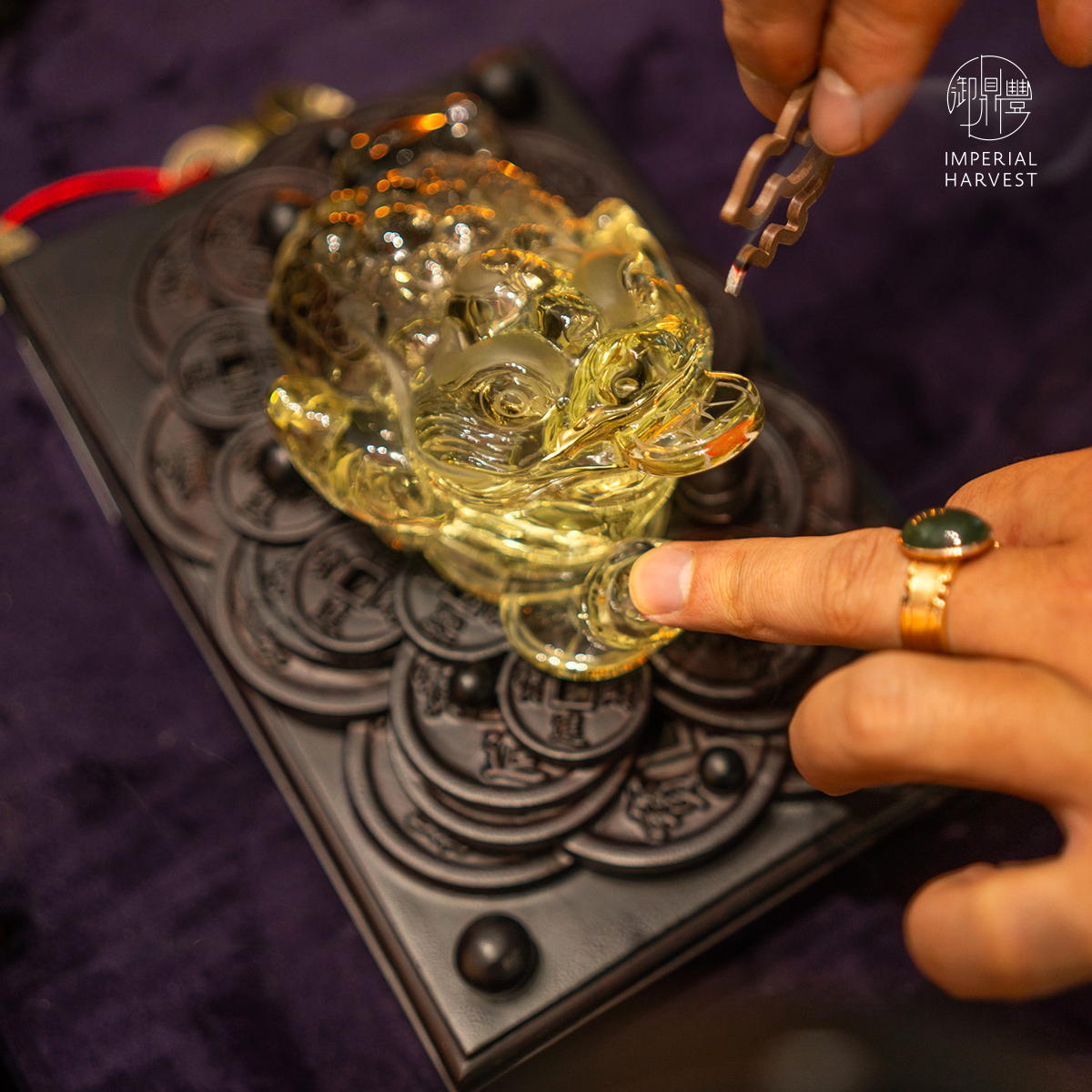 Blog 07.03 The God of Happiness Liu Hai Chan Legendary Golden Toad Blessing Ritual Blessing of Treasure
