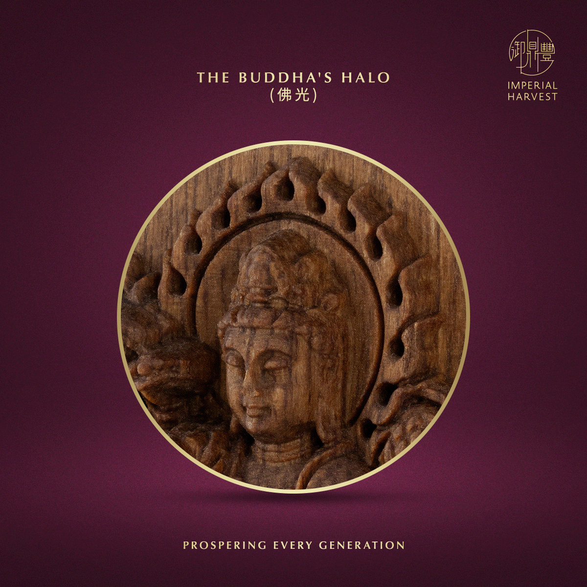 Blog 07.17 Imperial Harvest Dark Earth Agarwood Double Dragon Guan Yin Pendant Buddhas Halo 1