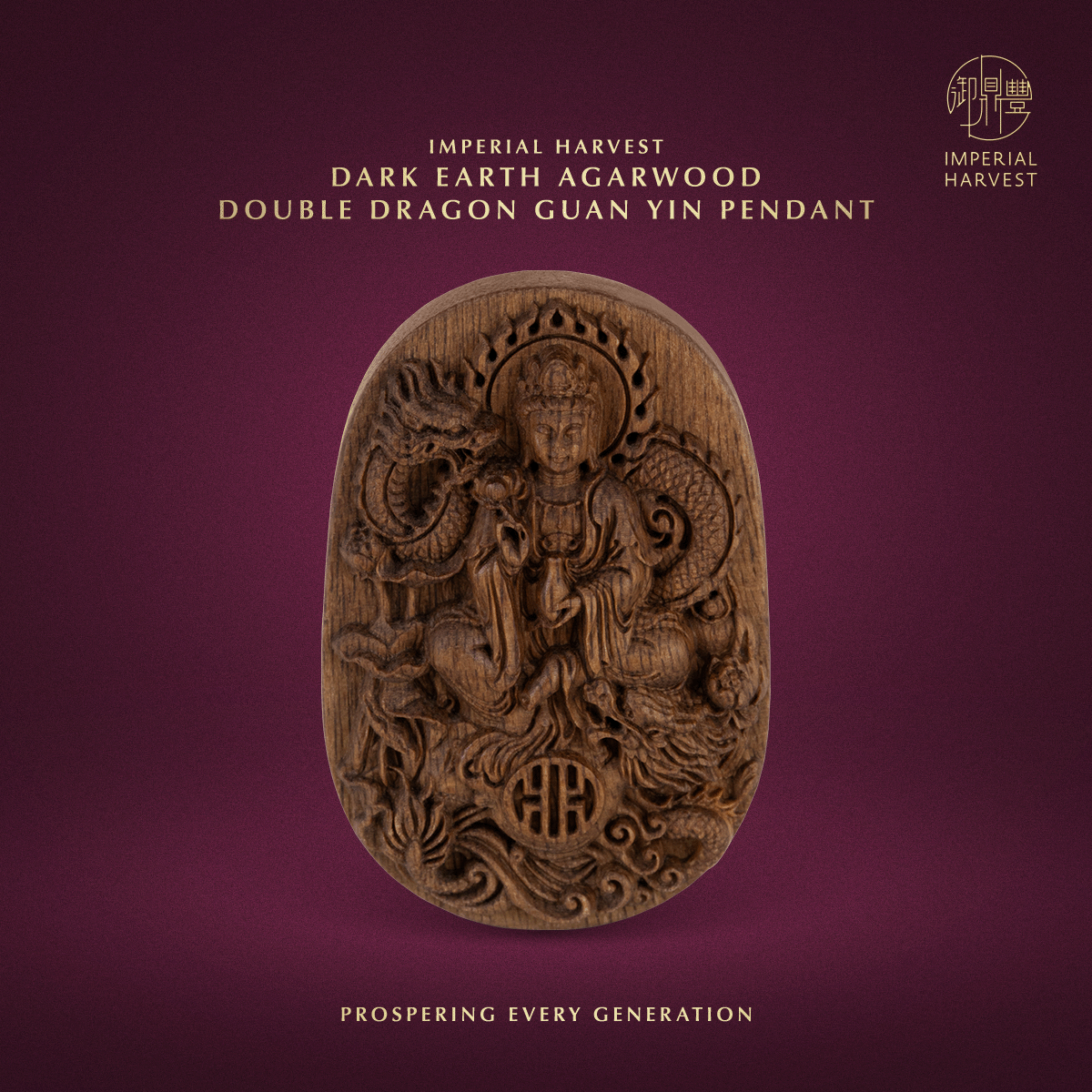 Blog 07.17 Imperial Harvest Dark Earth Agarwood Double Dragon Guan Yin Pendant Pendant