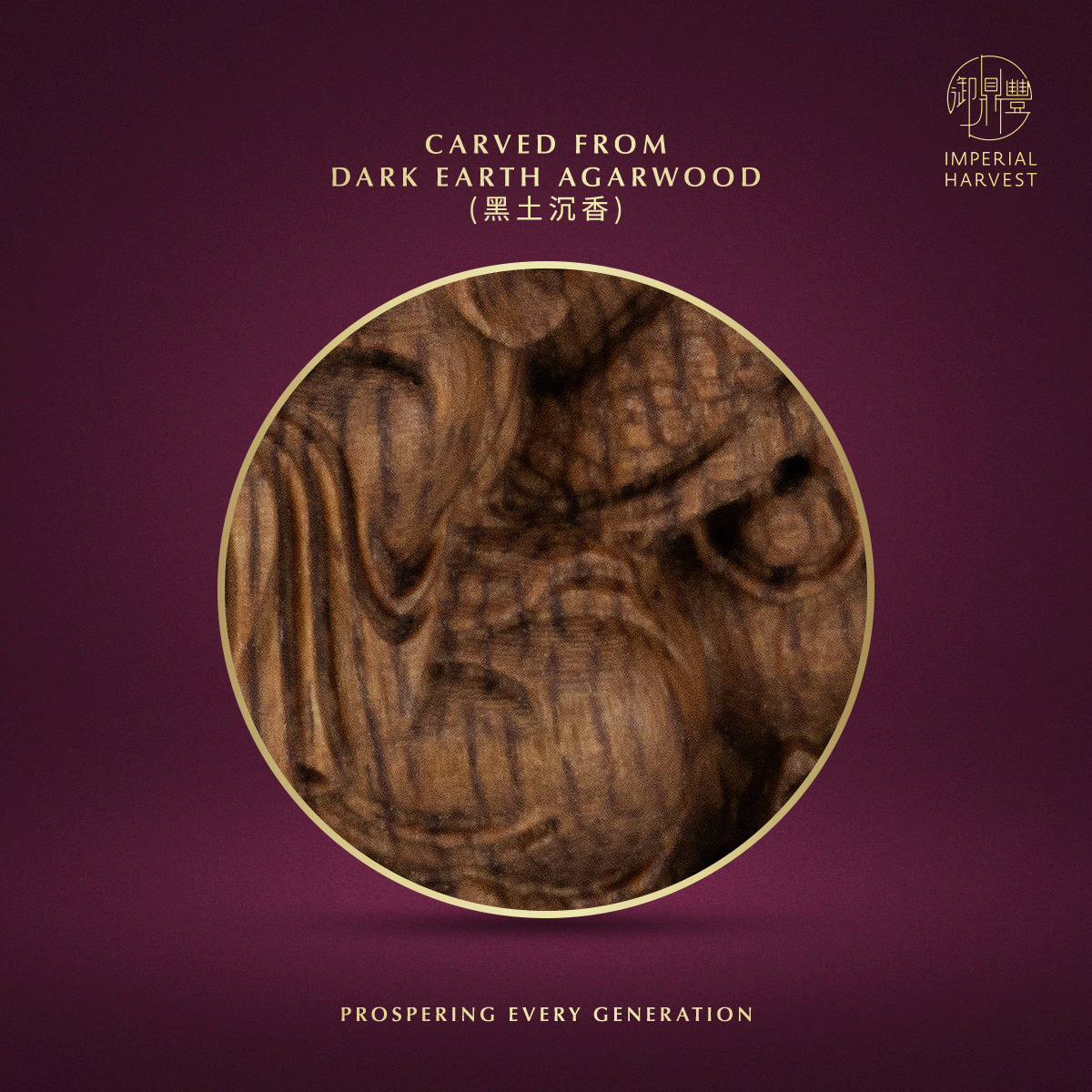 Blog 07.17 Imperial Harvest Dark Earth Agarwood Double Dragon Guan Yin Pendant White Robed Guan Yin Agarwood 1