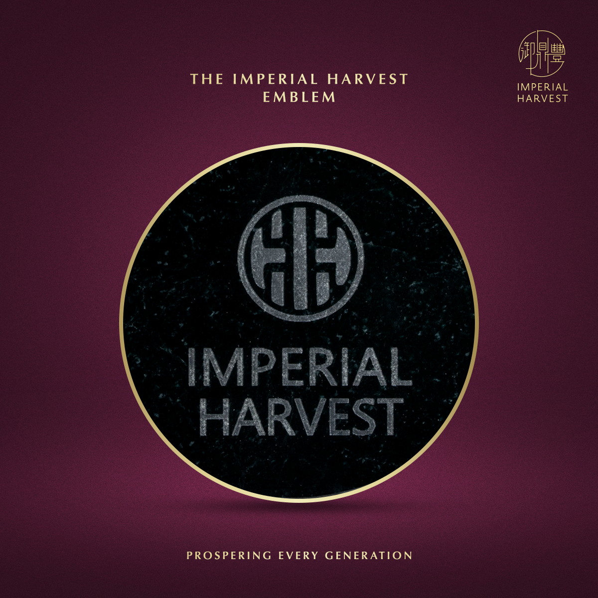 Blog 08.14 Imperial Harvest Victorious Fighting Buddha Sun Wukong Pendant Dark Earth Agarwood Emblem