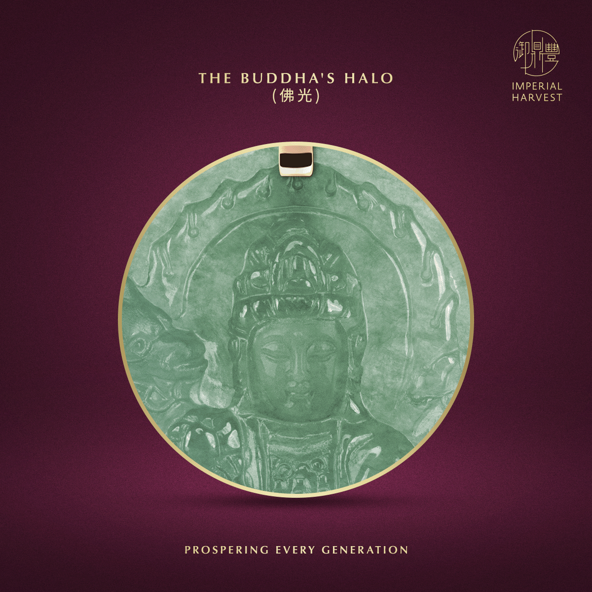 Blog 09.17 Imperial Harvest Fine Jadeite Double Dragon Guan Yin Pendant Buddhas Halo 1
