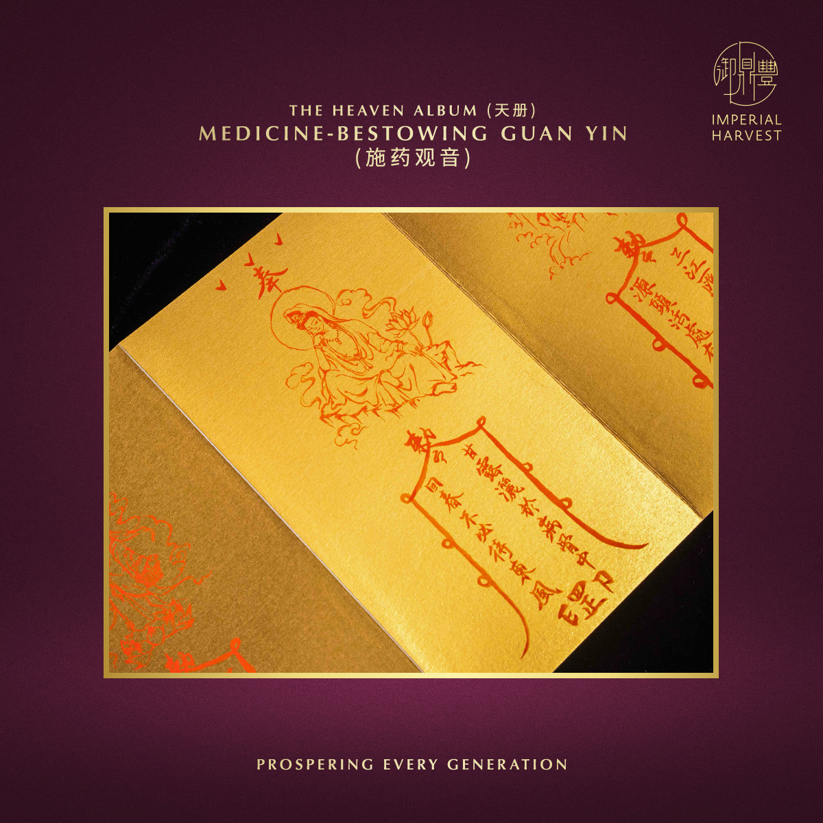 Blog 10.27 33 GY 3 Albums 09 Medicine Bestowing Guan Yin 施药观音