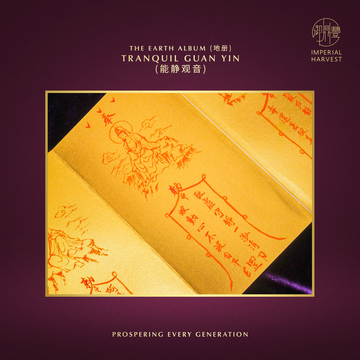 Blog 10.27 33 GY 3 Albums 19 Tranquil Guan Yin 能静观音