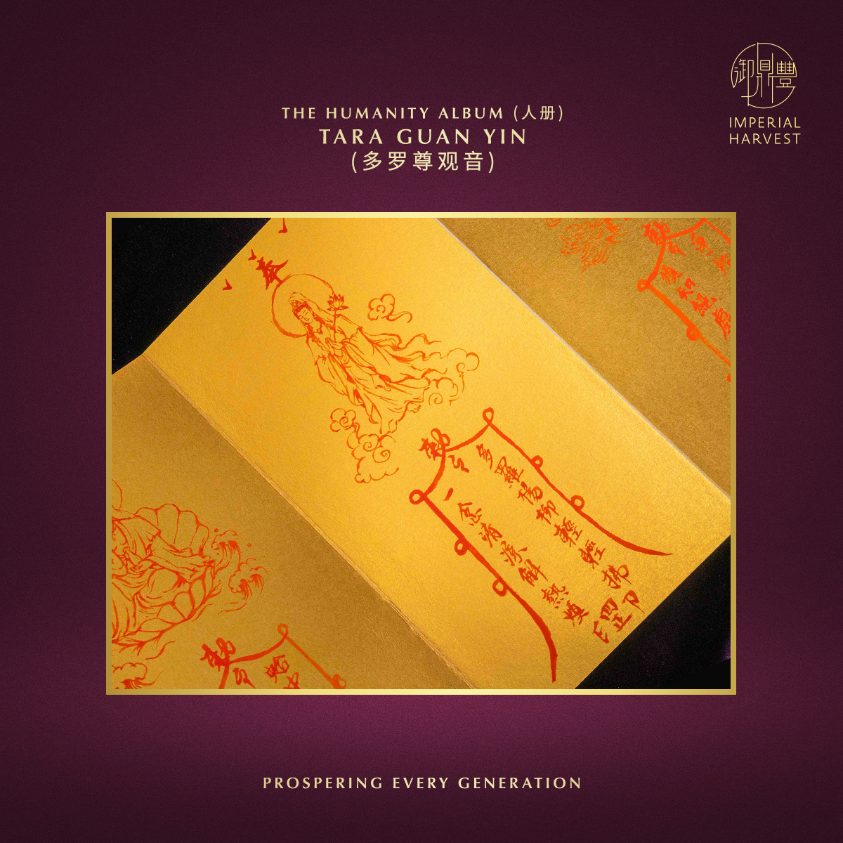 Blog 10.27 33 GY 3 Albums 24 Tara Guan Yin 多罗尊观音