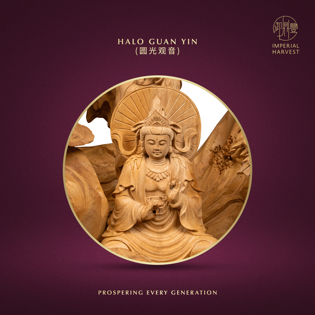 Blog 10.30 The Imperial Harvest Tongan Sandalwood Thirty Three Guan Yin Ceremonial Anchor 04