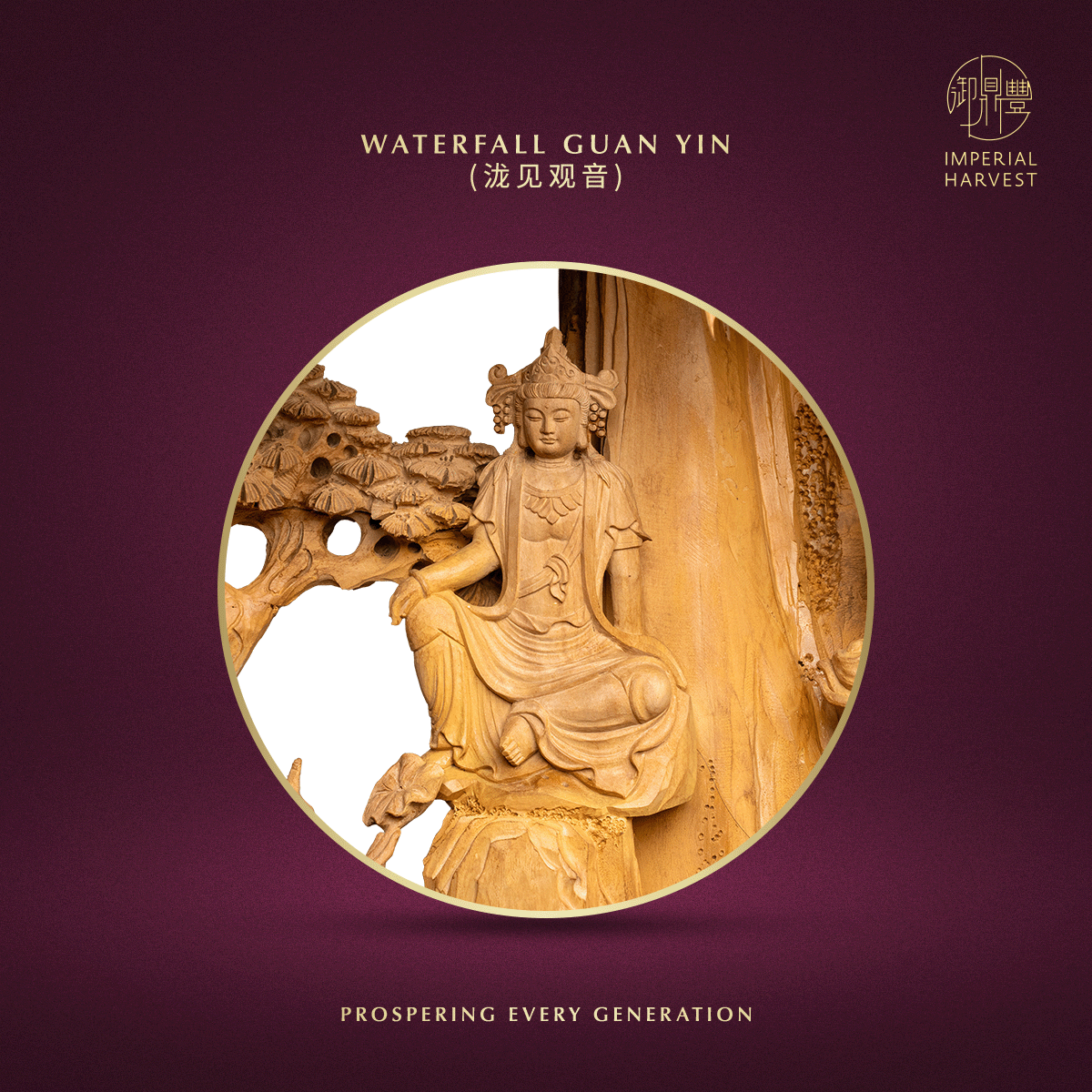 Blog 10.30 The Imperial Harvest Tongan Sandalwood Thirty Three Guan Yin Ceremonial Anchor 08
