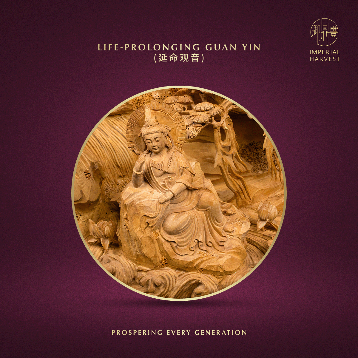 Blog 10.30 The Imperial Harvest Tongan Sandalwood Thirty Three Guan Yin Ceremonial Anchor 16