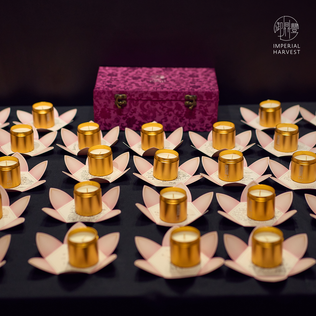 Blog 10.30 Thirty Three Guan Yin Golden Circle Event 2026 Blessing 1