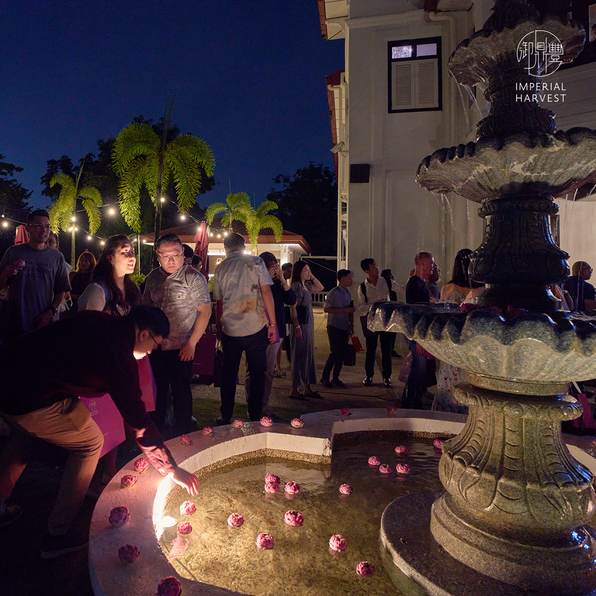 Blog 10.30 Thirty Three Guan Yin Golden Circle Event 2026 Lotus Offering 3